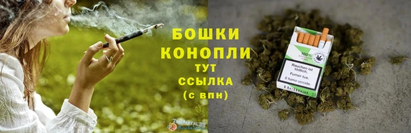 Альфа ПВП Гусиноозёрск