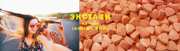 гидра Гусев