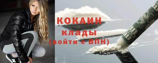 гидра Гусев