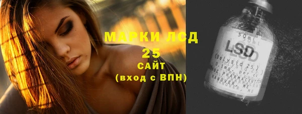 гидра Гусев