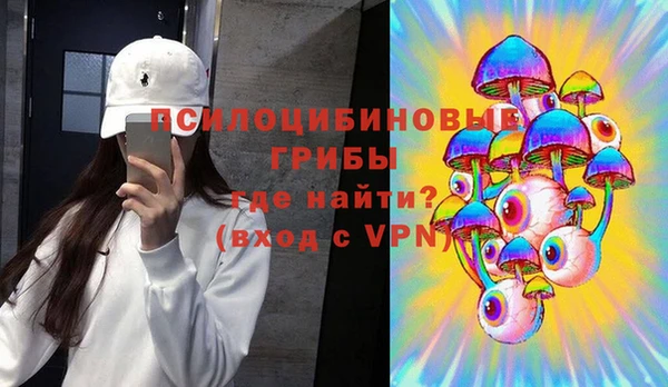 гидра Гусев
