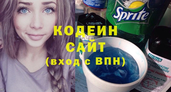 гидра Гусев