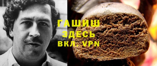 гидра Гусев