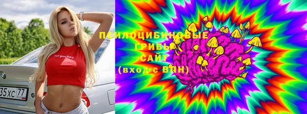 Альфа ПВП Гусиноозёрск