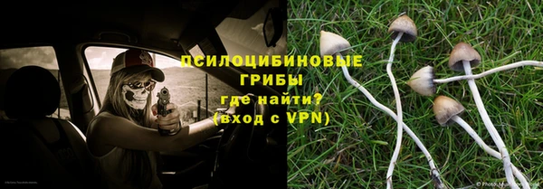 Альфа ПВП Гусиноозёрск